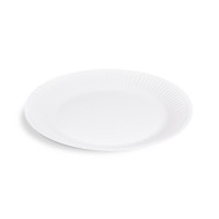Papírové talíře 23cm/10ks 65223