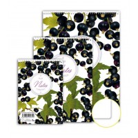 Poznámkový blok spirálový A5 čistý 70 listů